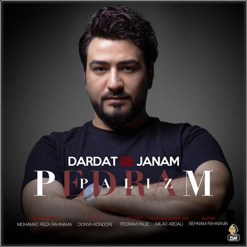 نایس موزیکا Pedram-Paliz-Dardat-Be-Janam دانلود آهنگ پدرام پالیز به نام دردت به جانم 