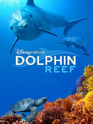 دانلود مستند صخره دلفین Dolphin Reef 2020