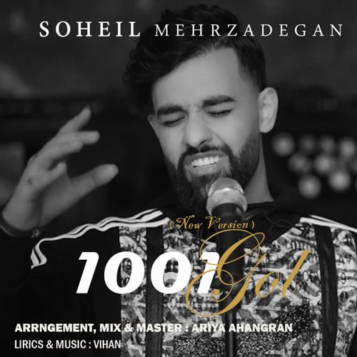 نایس موزیکا Soheil-Mehrzadegan-1001-Gol-New-Version دانلود آهنگ سهیل مهرزادگان به نام هزار و یک گل  